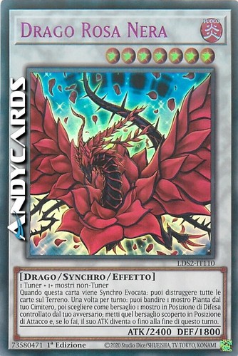 Drago rosa nera - nera, (black